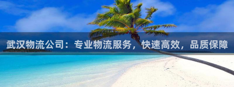 28圈官网平台：武汉物流公司：专业物
