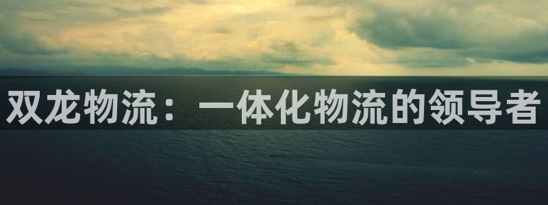 28圈官方版网站：双龙物流：一体化物