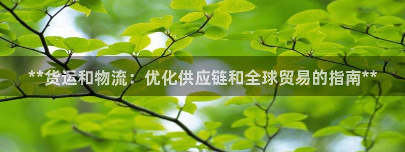 28圈加拿大28：**货运和物流：优