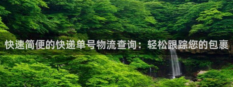 28圈加拿大在线预测：快速简便的快递