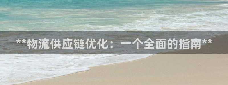 28圈ccm游戏：**物流供应链优化