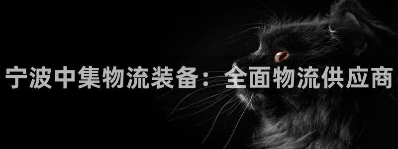 28圈初始资金密码在哪里改：宁波中集