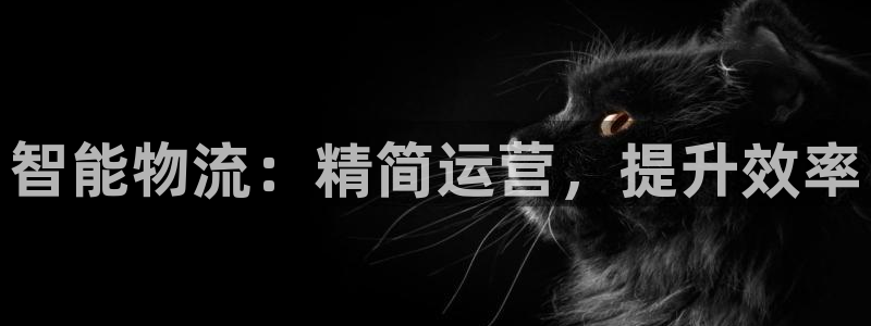 28圈黑钱：智能物流：精简运营，提升