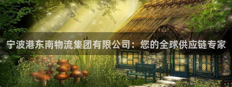 28圈是正规平台吗：宁波港东南物流集