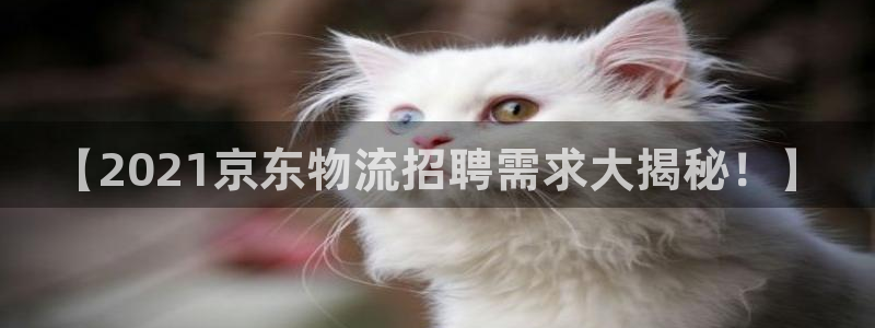 28圈下载链接是多少：【2021京东