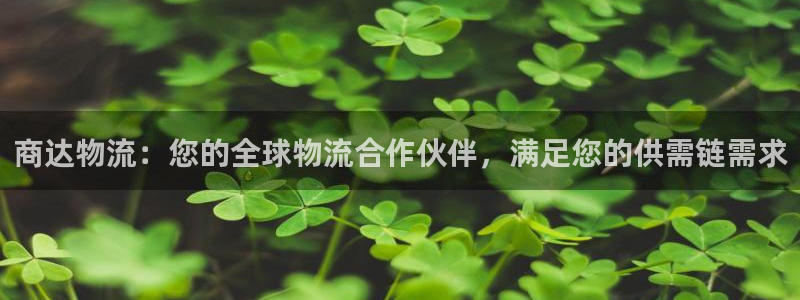 28圈加拿大预测：商达物流：您的全球