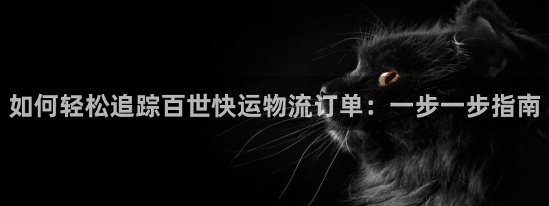 28圈注册登录链接流程：如何轻松追踪