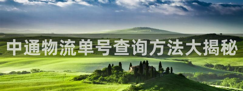 28圈注册登录链接流程：中通物流单号