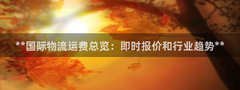 28圈ccm官网版：**国际物流运费