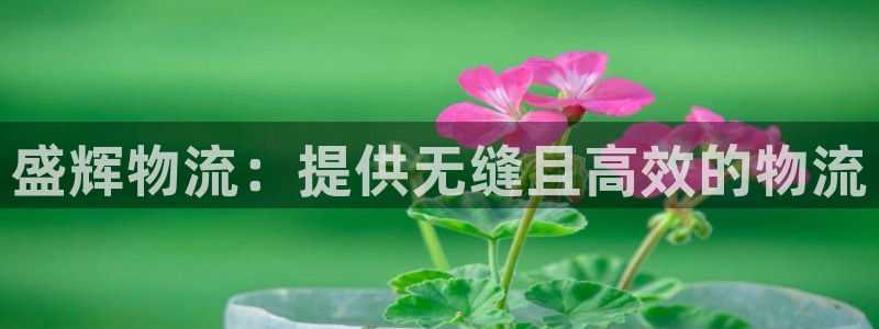 28圈注册网站谁有：盛辉物流：提供无