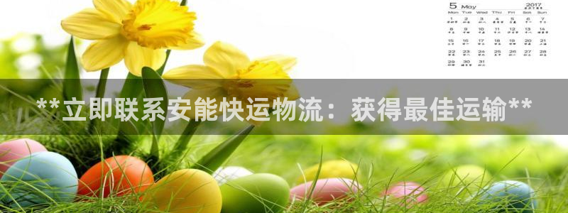 28圈注册网站谁有：**立即联系安能