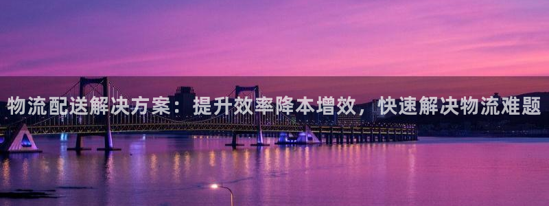 28圈官网网站：物流配送解决方案：提