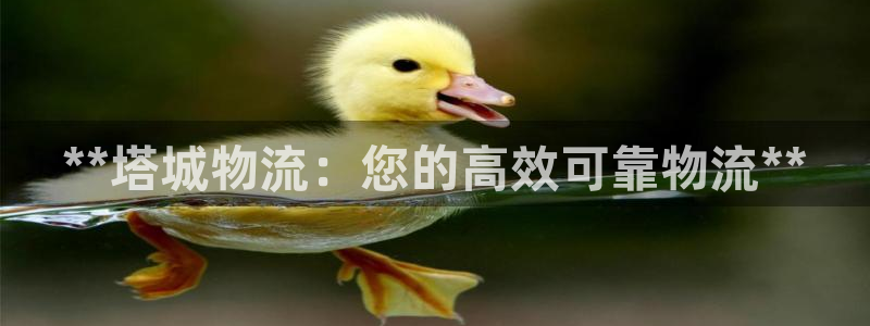 28圈注册链接入口：**塔城物流：您