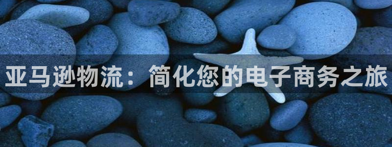 28圈分分28输了能不能退：亚马逊物