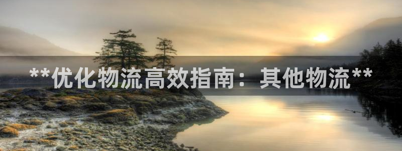 28圈退款：**优化物流高效指南：其