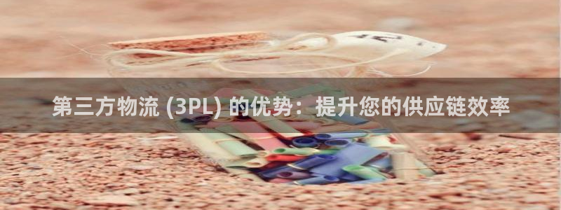 28圈模拟器下载：第三方物流 (3P