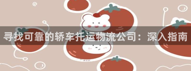 28圈官方网站预测：寻找可靠的轿车托