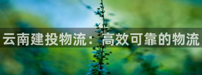 28圈是啥：云南建投物流：高效可靠的