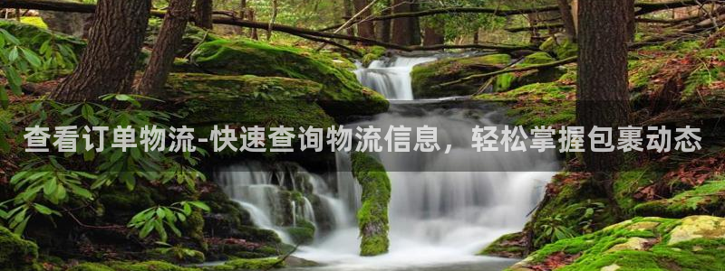 28圈正规吗：查看订单物流-快速查询