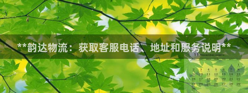 28圈口内径是多大：**韵达物流：获