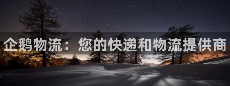 pc28圈怎么注册：企鹅物流：您的快