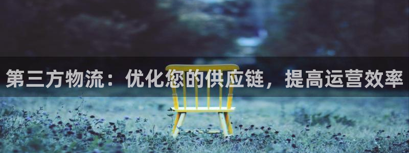 28圈怎么下载：第三方物流：优化您的