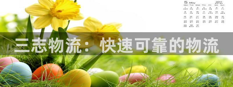 28圈充值为什么充不了：三志物流：快