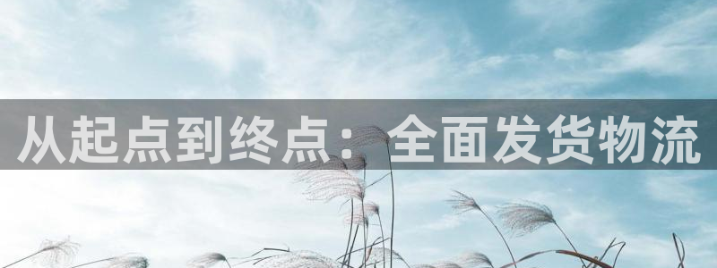 28圈头像：从起点到终点：全面发货物