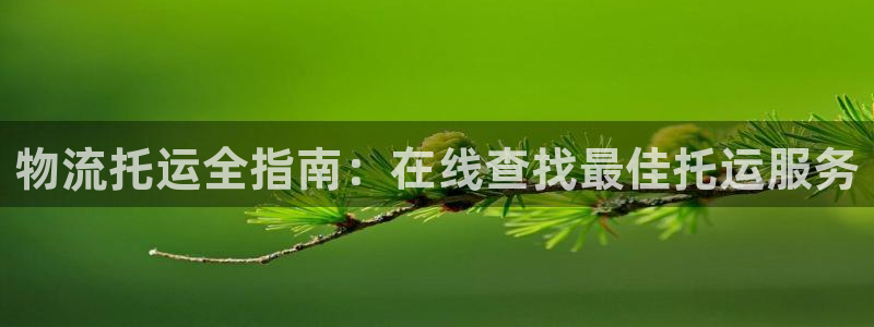 28圈退款：物流托运全指南：在线查找
