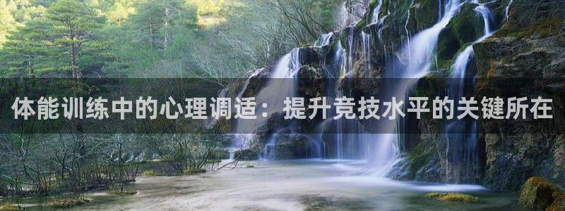 3377体育官网