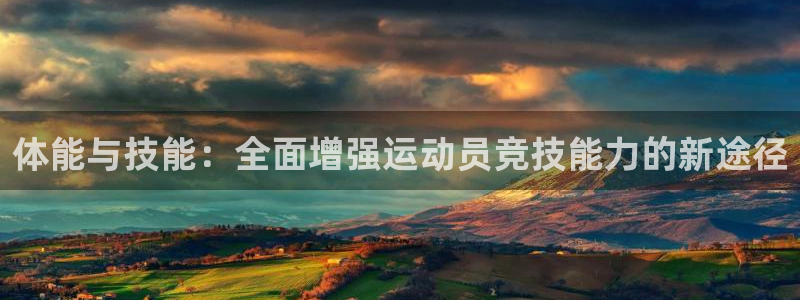 3377体育全网