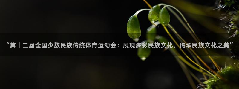 3377体育官网下载