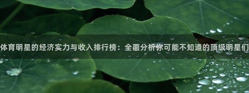 3377体育官网入口网页版