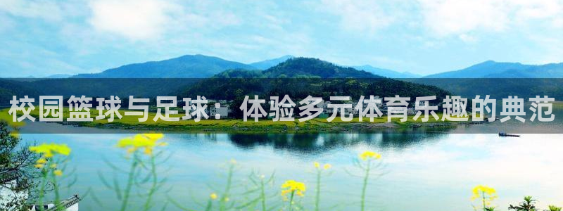 3377体育网页登录入口
