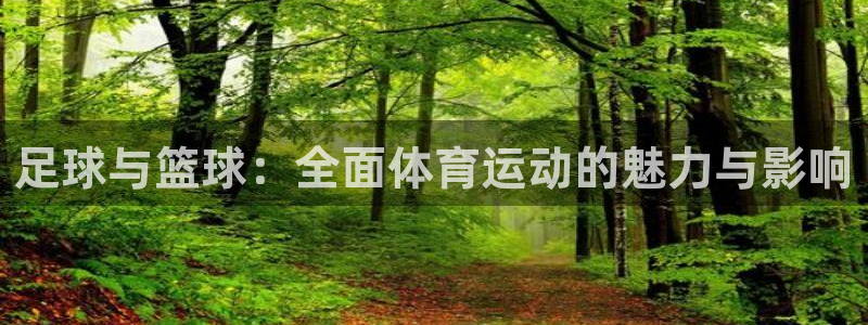 3377体育app登录入口