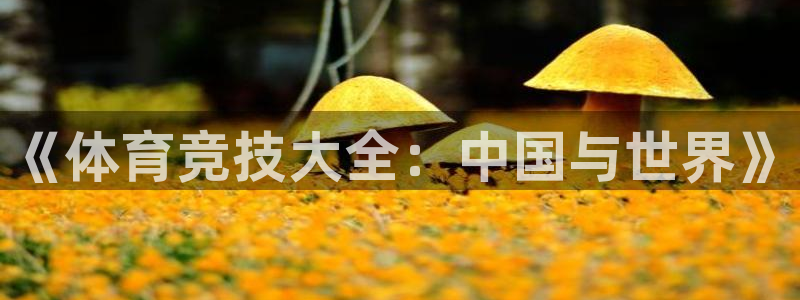 3377体育app下载安装