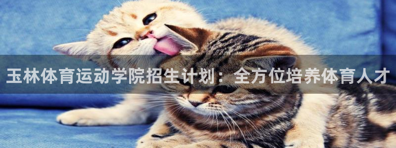 3377体育中国官方网站入口