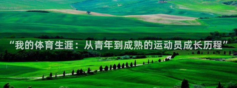 3377体育网页登录入口