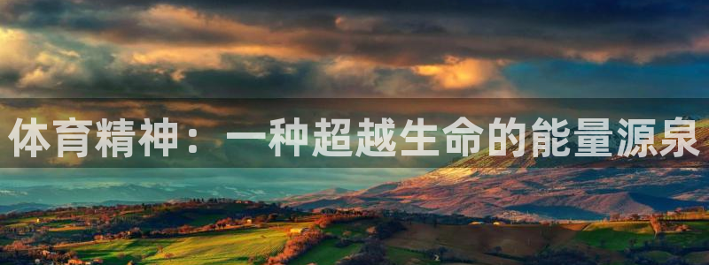 3377体育