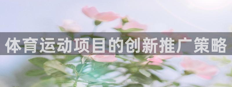 3377体育是正规平台吗