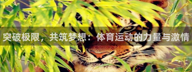 3377体育app官网下载地址