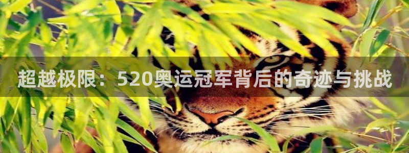 3377体育官网