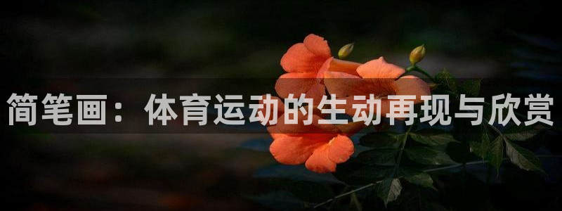 3377体育在线登录官网入口