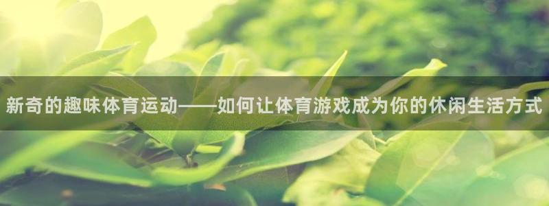 3377体育全网