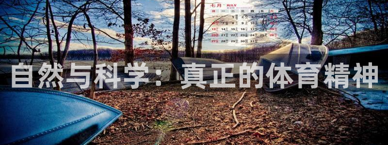 3377体育官网