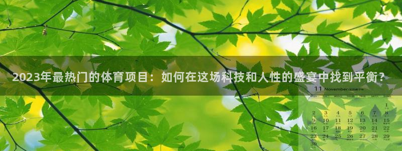 3377体育官网入口下载最新