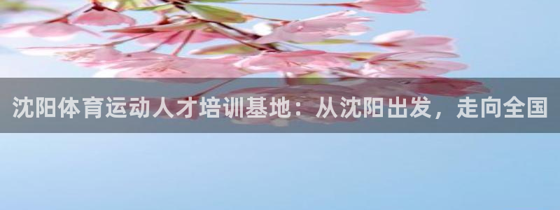 3377体育com