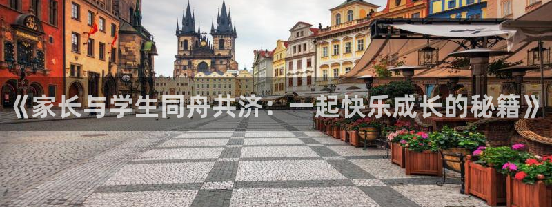 3377体育在线登录官网入口