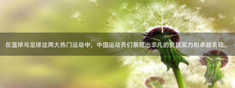 3377体育在线
