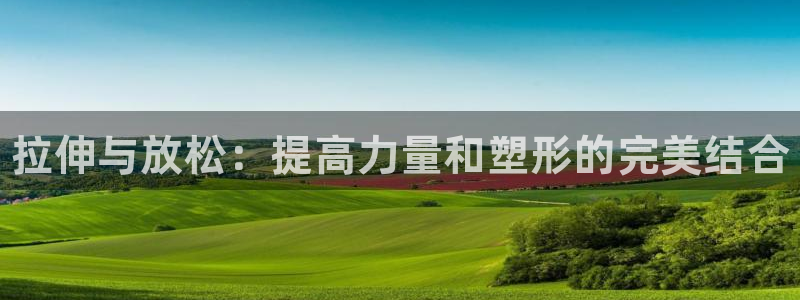 3377体育官网入口网页版